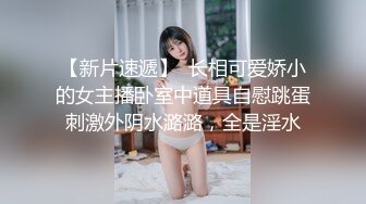 大奶老婆2