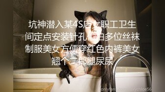 坑神潜入某4S店女职工卫生间定点安装针孔偸拍多位丝袜制服美女方便穿红色内裤美女翘个二郎腿尿尿