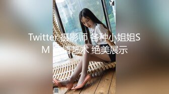 Twitter 摄影师 各种小姐姐SM 色情艺术 绝美展示