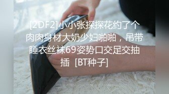 后入骚货细腰美臀