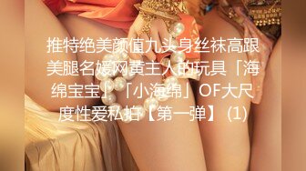 【s爱豆传媒】id-5398 欲女洗车场-慧敏