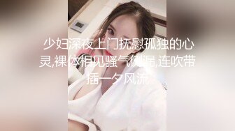 麻豆传媒 MCY0194 承认出轨妻子的漂亮闺蜜 徐蕾