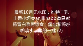 欧美极品长腿熟女Brianna Rose.1080P整理合集【19V】 (4)