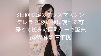 3日间限定のクリスマスシンデレラ 圣夜の夜に现れる可爱くて长身の巨乳ケーキ贩売员AV解禁 甘惟桃