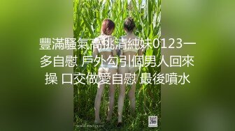 极品美乳淫妻《嫂子爱露出》群P乱交露出__前裹后操小逼要玩烂 (2)