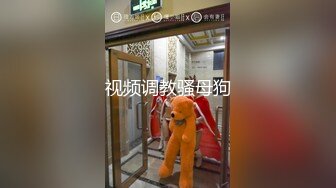 视频调教骚母狗