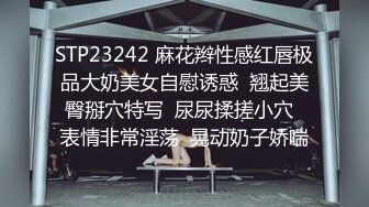 收集的一些淫妻BBC题材的合集1【385V】 (15)