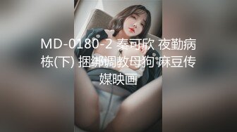 MD-0180-2 秦可欣 夜勤病栋(下) 捆绑调教母狗 麻豆传媒映画