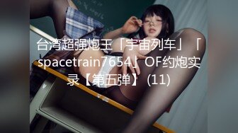 欧美情色 BLACKED媚黑系列 内嵌中文字幕系列 超清合集八【17v】 (1)