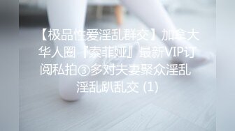 【极品性爱淫乱群交】加拿大华人圈『索菲娅』最新VIP订阅私拍③多对夫妻聚众淫乱 淫乱趴乱交 (1)