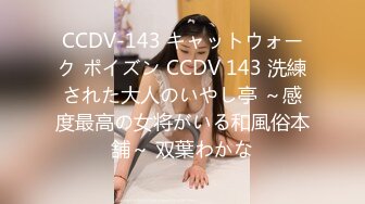 CCDV-143 キャットウォーク ポイズン CCDV 143 洗練された大人のいやし亭 ～感度最高の女将がいる和風俗本舗～ 双葉わかな