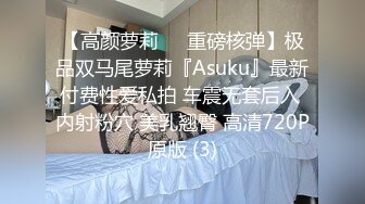 【高颜萝莉❤️重磅核弹】极品双马尾萝莉『Asuku』最新付费性爱私拍 车震无套后入 内射粉穴 美乳翘臀 高清720P原版 (3)