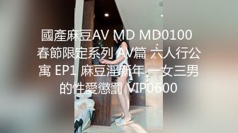 國產麻豆AV MD MD0100 春節限定系列 AV篇 六人行公寓 EP1 麻豆淫新年 一女三男的性愛懲罰 VIP0600