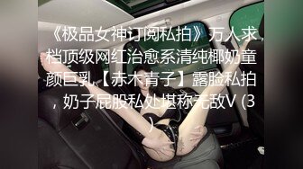 《极品女神订阅私拍》万人求档顶级网红治愈系清纯椰奶童颜巨乳【赤木青子】露脸私拍，奶子屁股私处堪称无敌V (3)