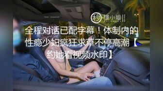 全程对话已配字幕！体制内的性瘾少妇疯狂求草不停高潮【约她看视频水印】