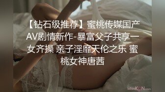 潘娇娇 - 女仆和主人之调教